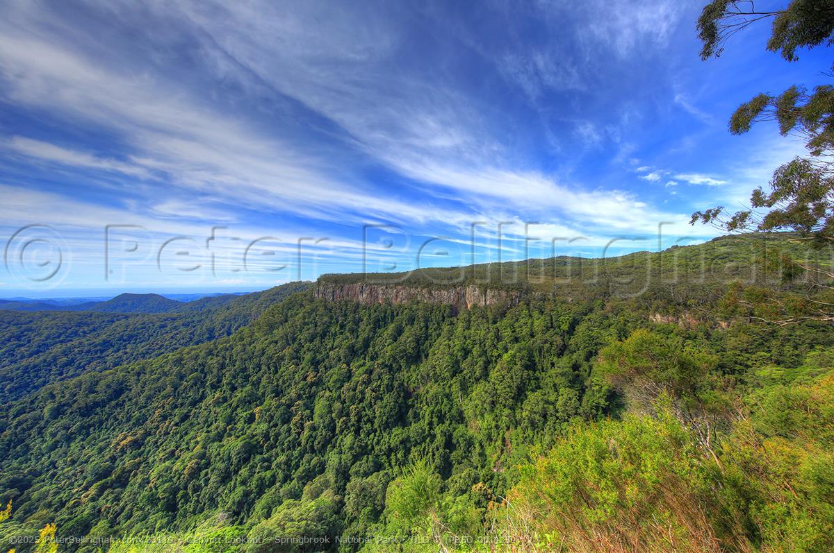 Peter Bellingham Photography Canyon Lookout - Springbrook National Park - QLD T (PB5D 00 4259)